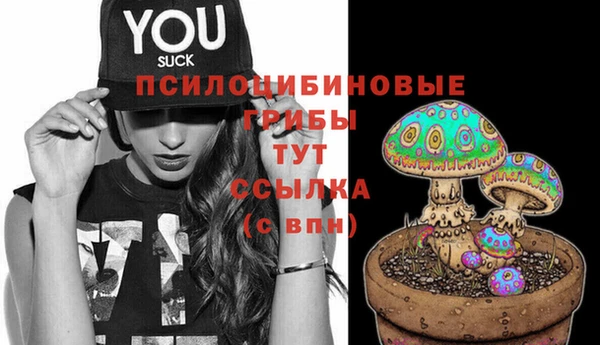 хмурый Пролетарск