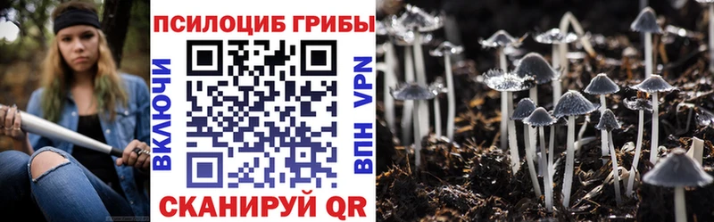 kraken   Чёрмоз  Галлюциногенные грибы мицелий 